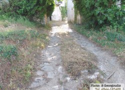 DSC05787