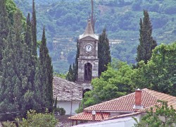 DSC06008
