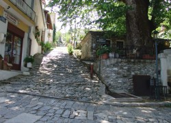 DSC06068