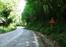 DSC06101