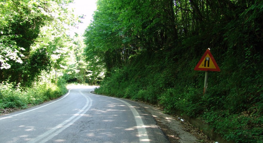 DSC06101