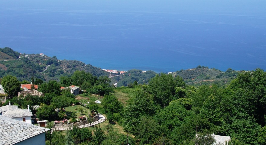 DSC06125