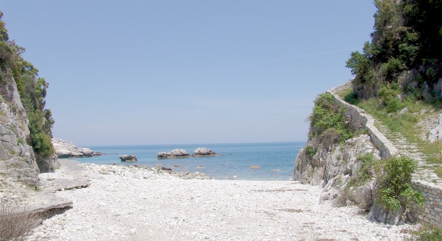 DSC03276