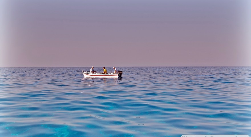 DSC_0777 (1)