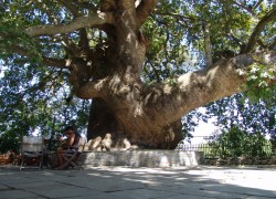 Tsagarada