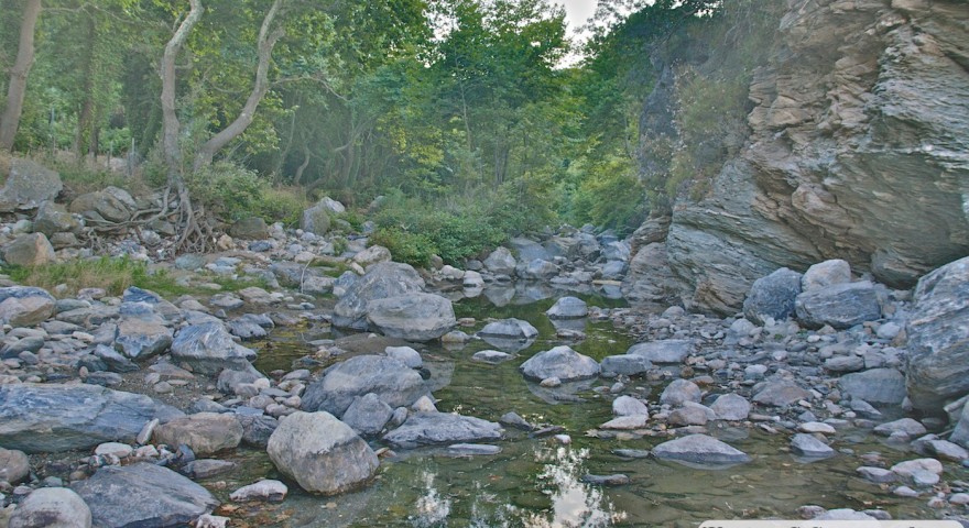 mpanikas