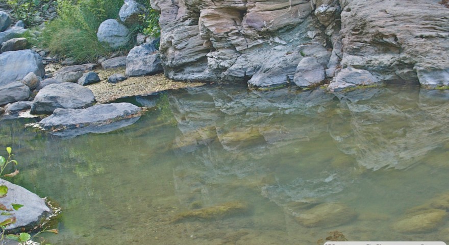 mpanikas